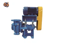 Slurry Pump