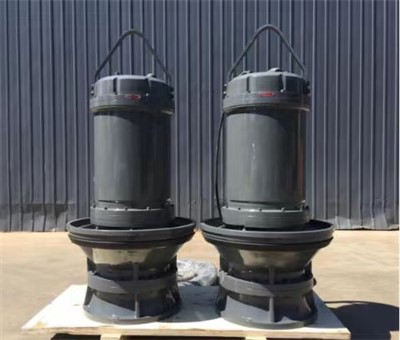 High Capacity Submersible Axial Flow Pump